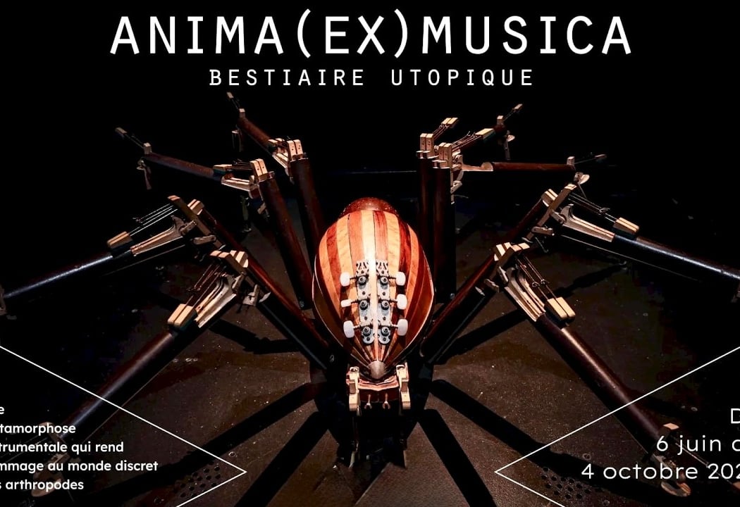 Anima (Ex) Musica 1