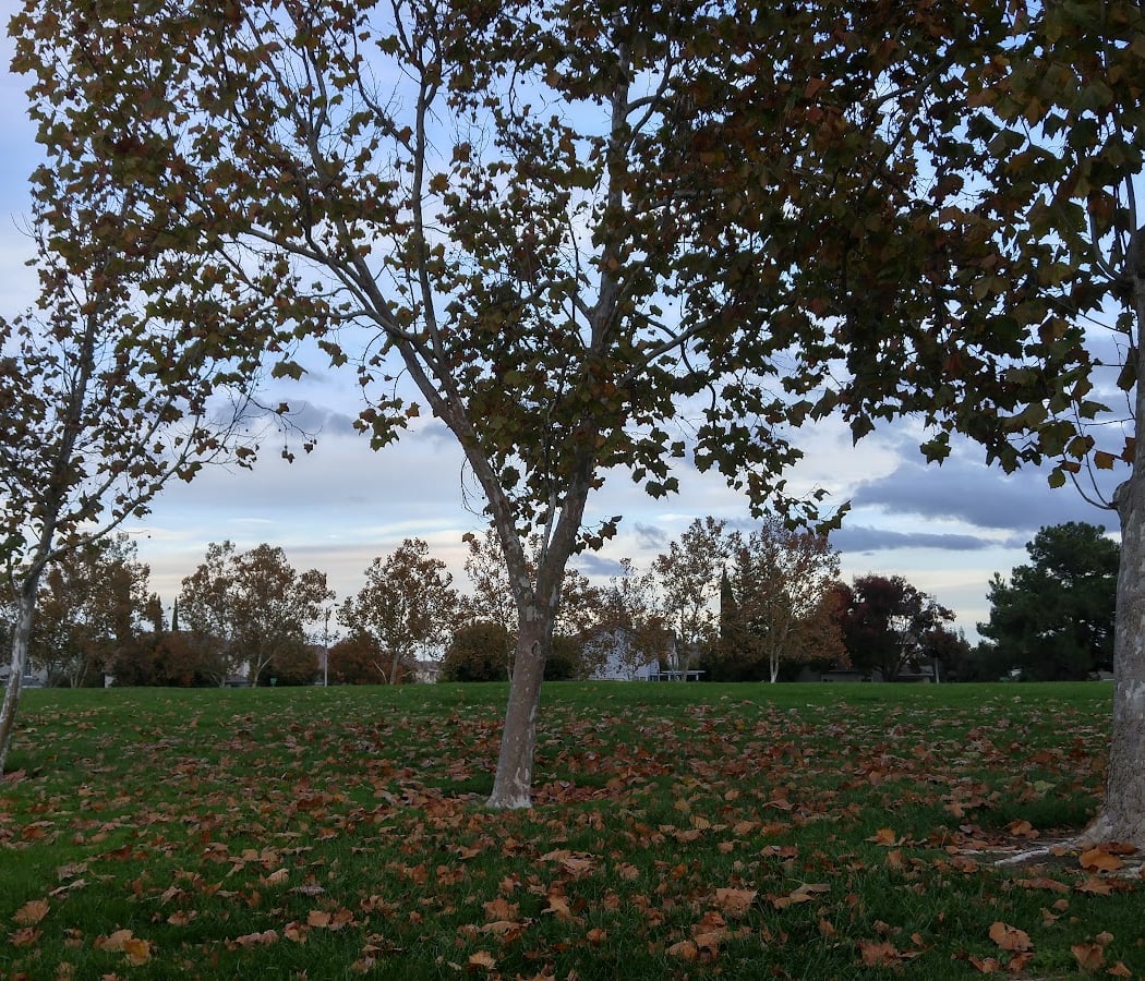 Knoll Park 1