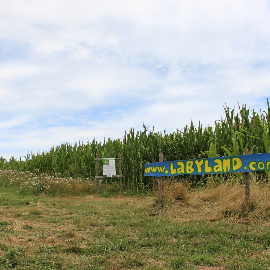 Labyland 3