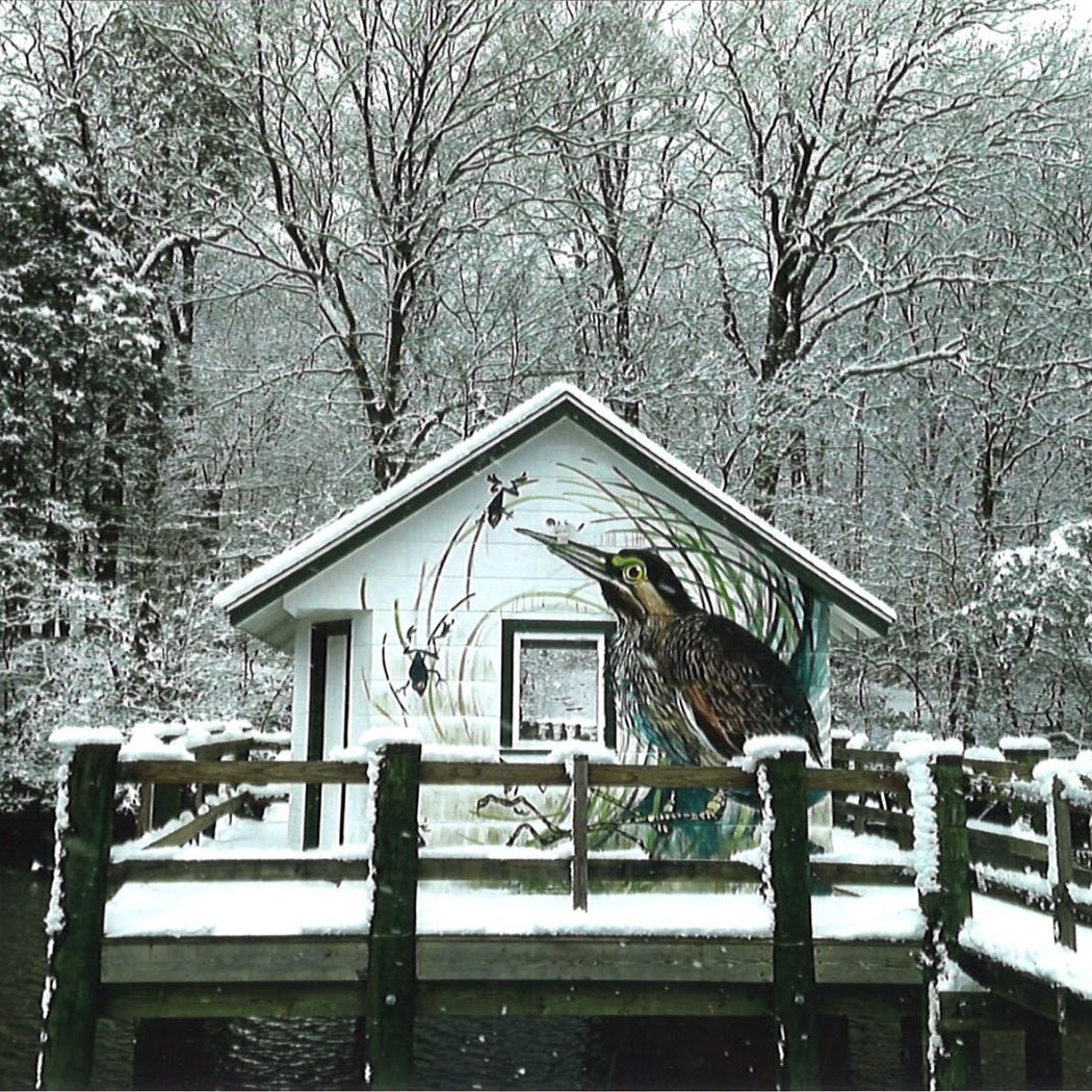 Pickering Creek Audubon Center 2