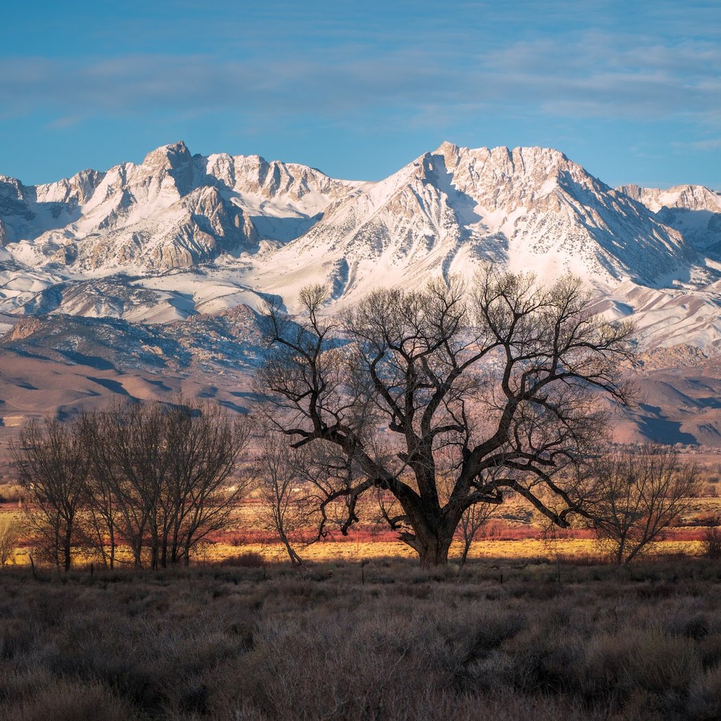 Eastern Sierra 1