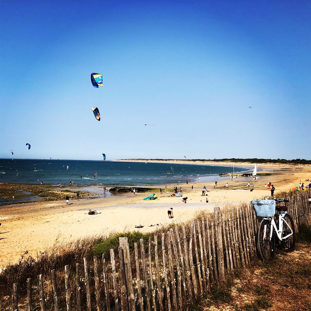 Conche of Whales 1