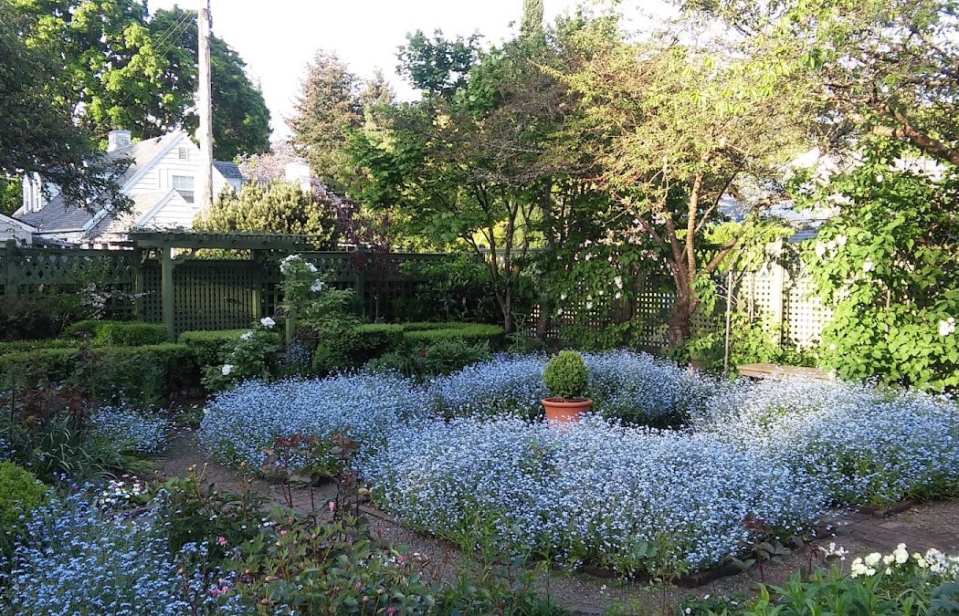 Gaiety Hollow Open Gardens: Constant Billy 4