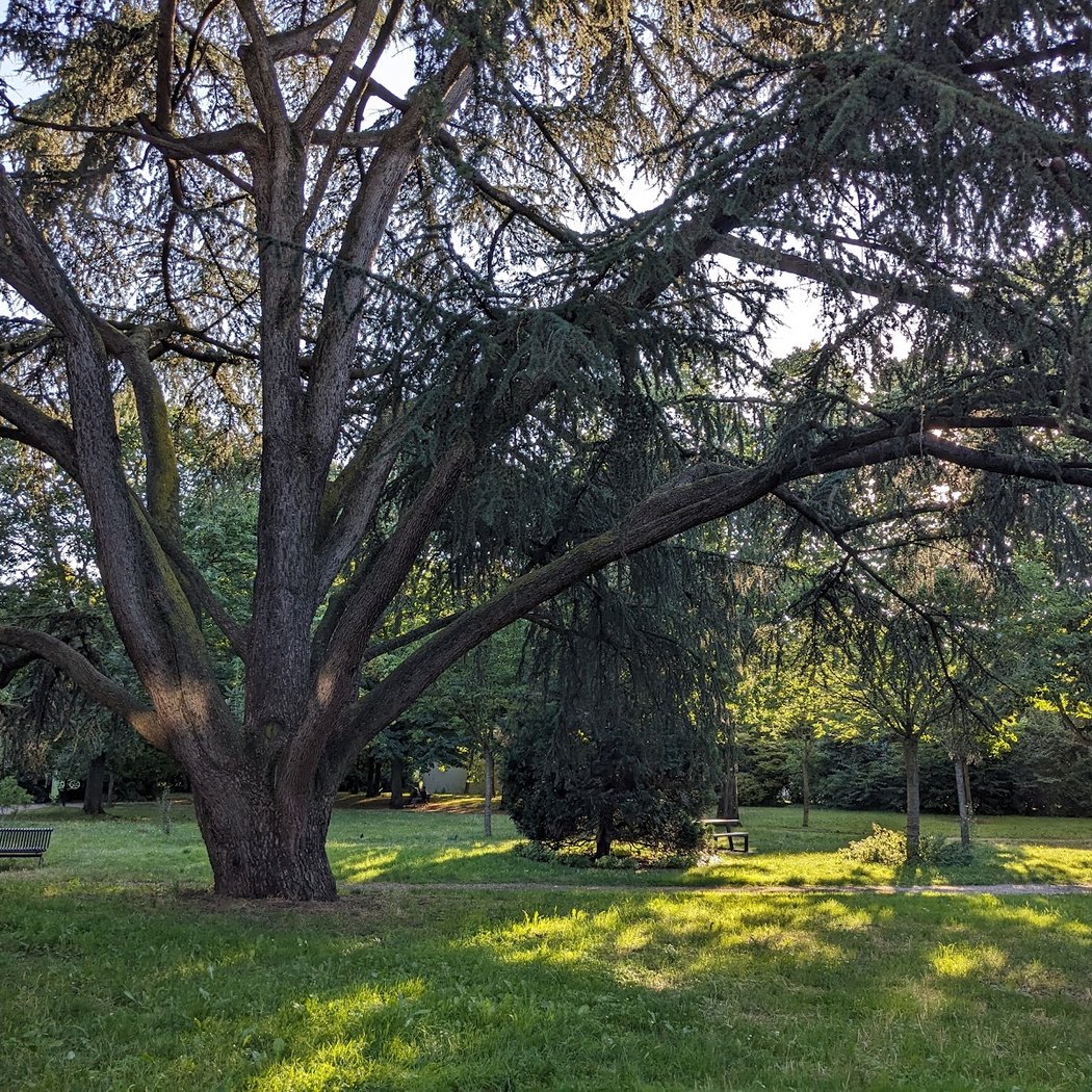 Concerts en plein air et expositions d'art 1