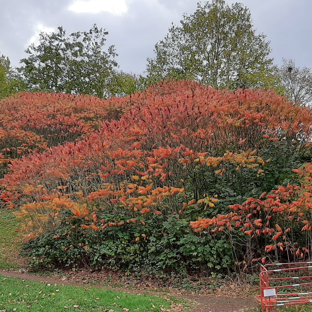 Parc Vincent-Auriol 3