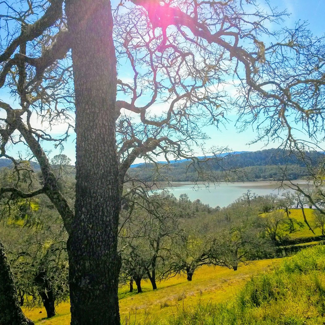 Junior Ranger Hikes 2