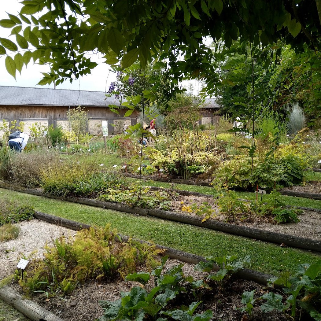 Conservatoire National des Plantes à Parfum, Médicinales et Aromatiques 3