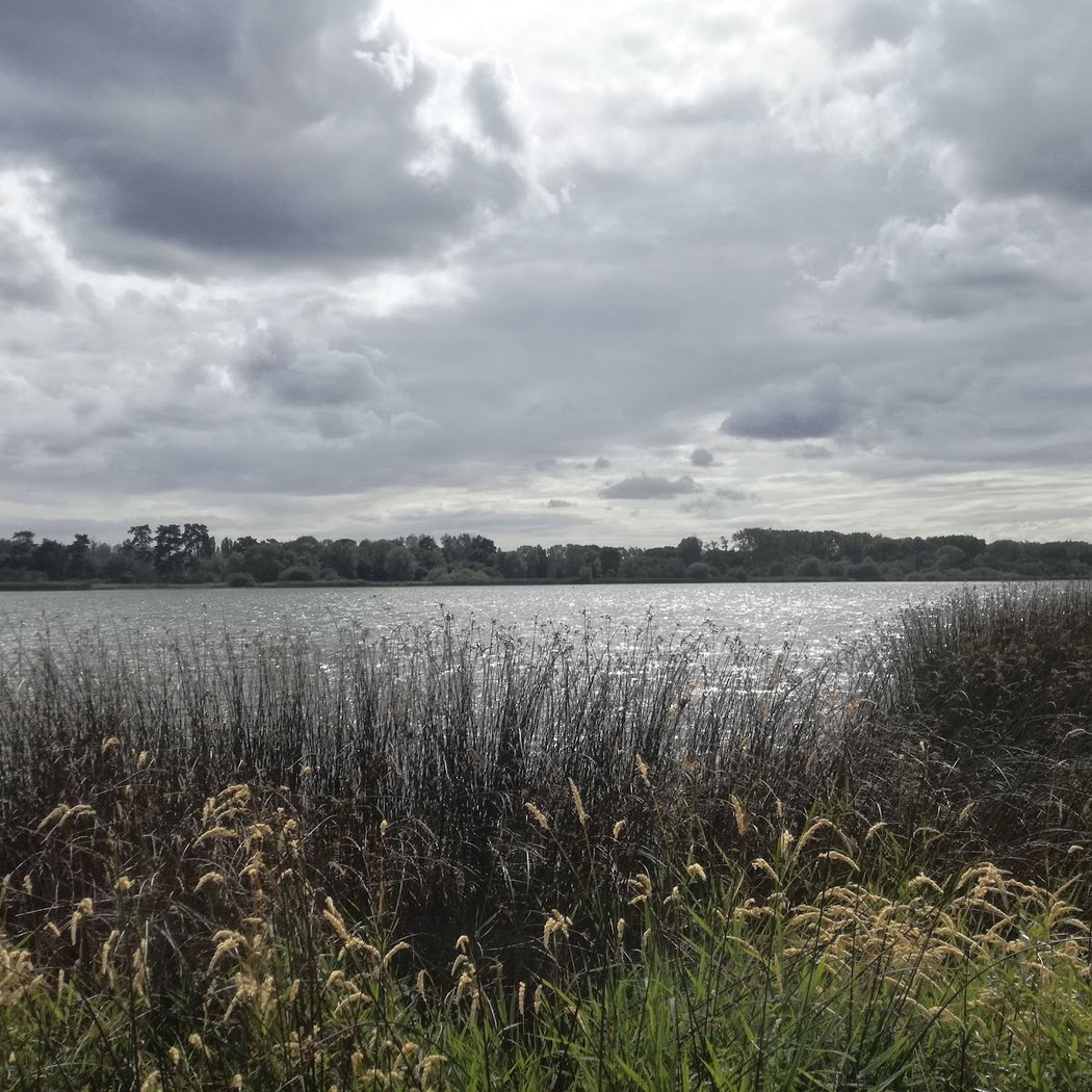 Centre de Loisirs de Saint-Quentin-en-Yvelines 4