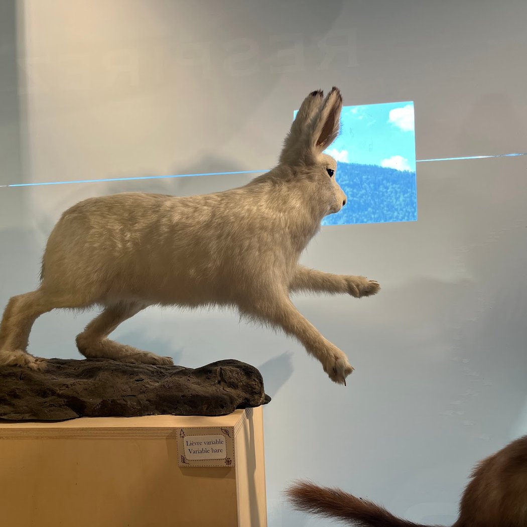 Espace Musée de Vaujany 3