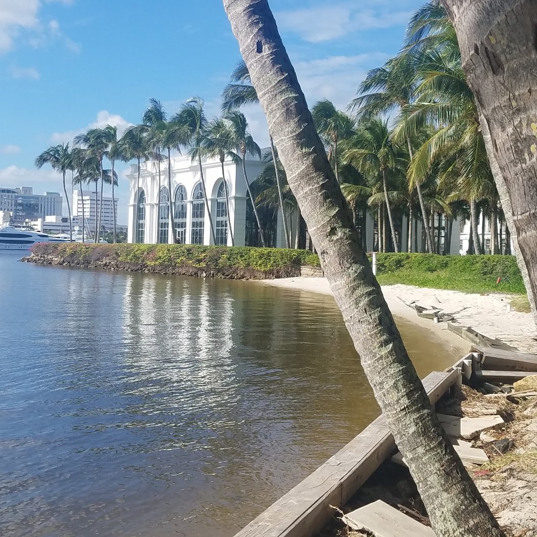 The Palm Beaches 2