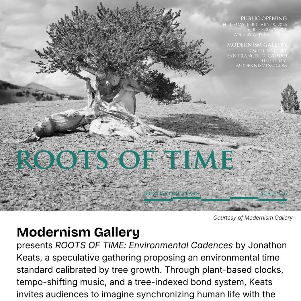 ROOTS OF TIME: Environmental Cadences 1
