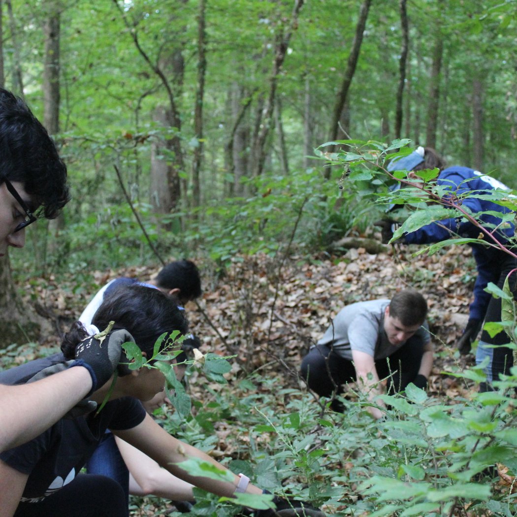 Frazer Forest Volunteer Workday with Trees Atlanta 1