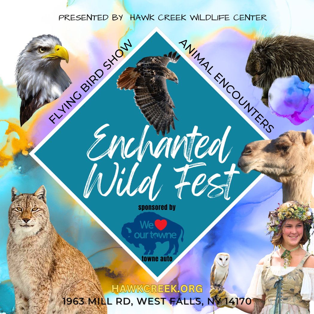 Enchanted Wild Fest 1