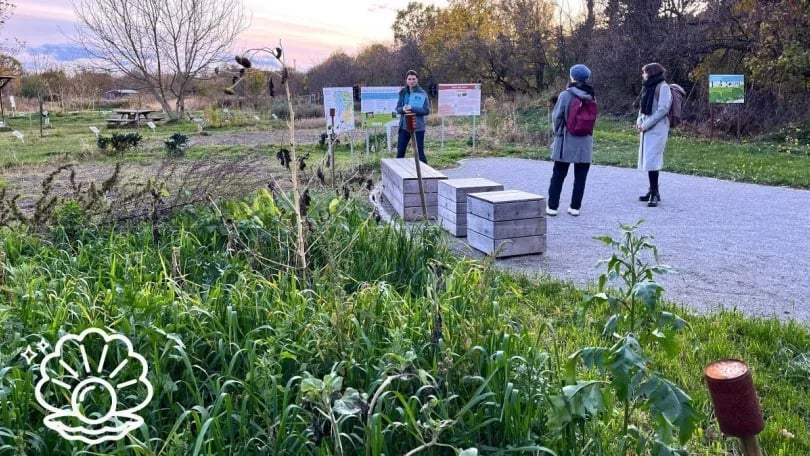 Klimafitte Donaustadt: Landwirtschaft in der Stadt 1