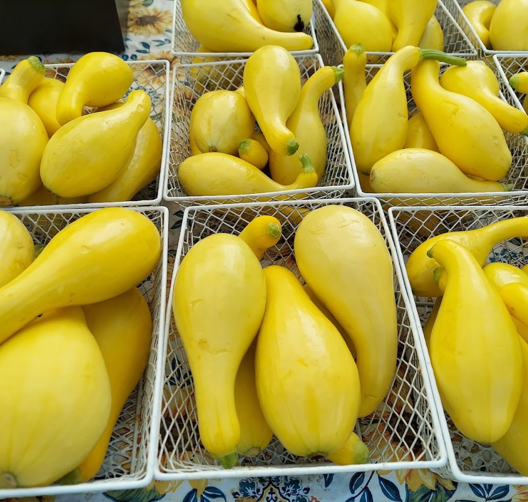 O Grows Farmers Market 2