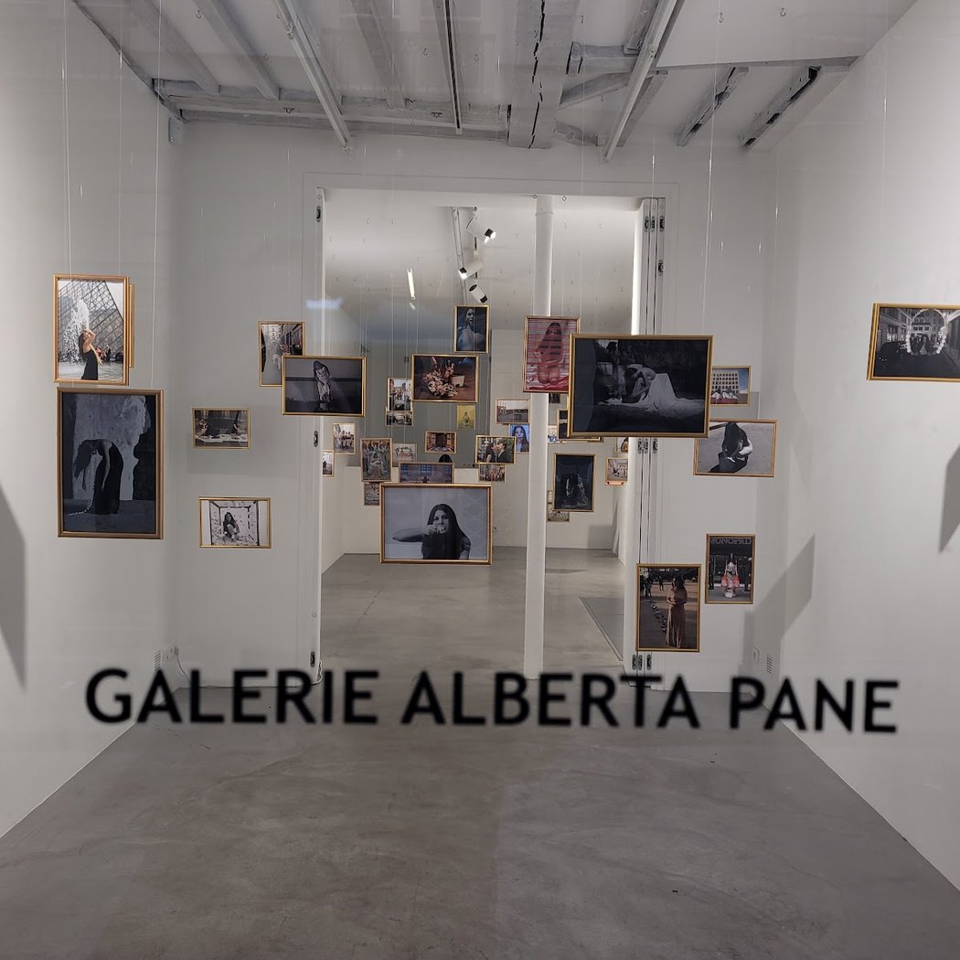 Politics of the Gaze : Gayle Chong Kwan 2