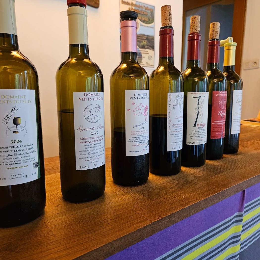 Domaine Vents du Sud 1