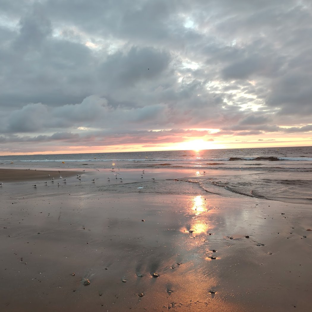 Plage de Blonville-sur-Mer 2
