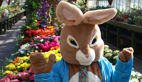Botanical Bunny Days 1