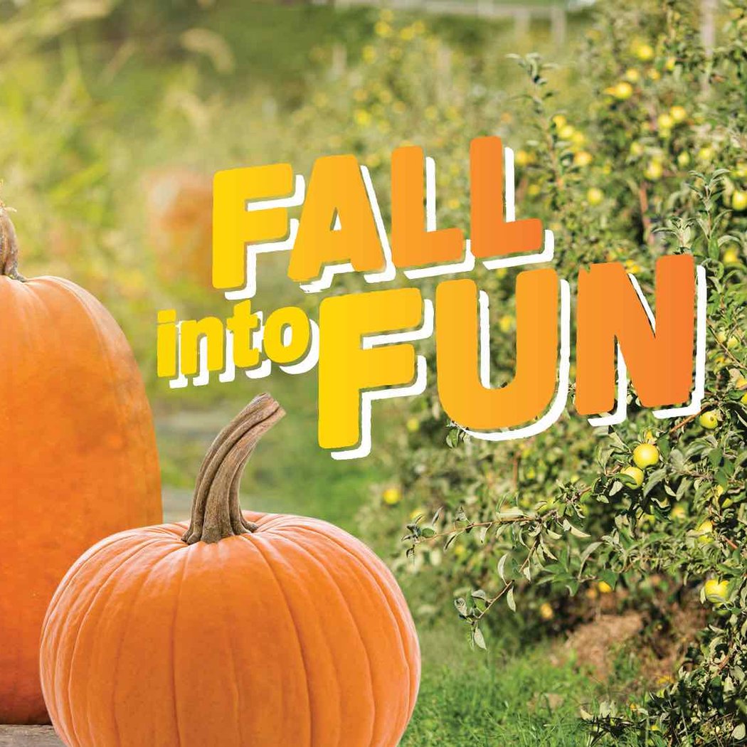 Fall Into Fun 1