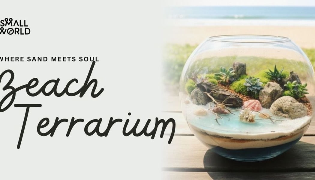Beach Terrarium 1