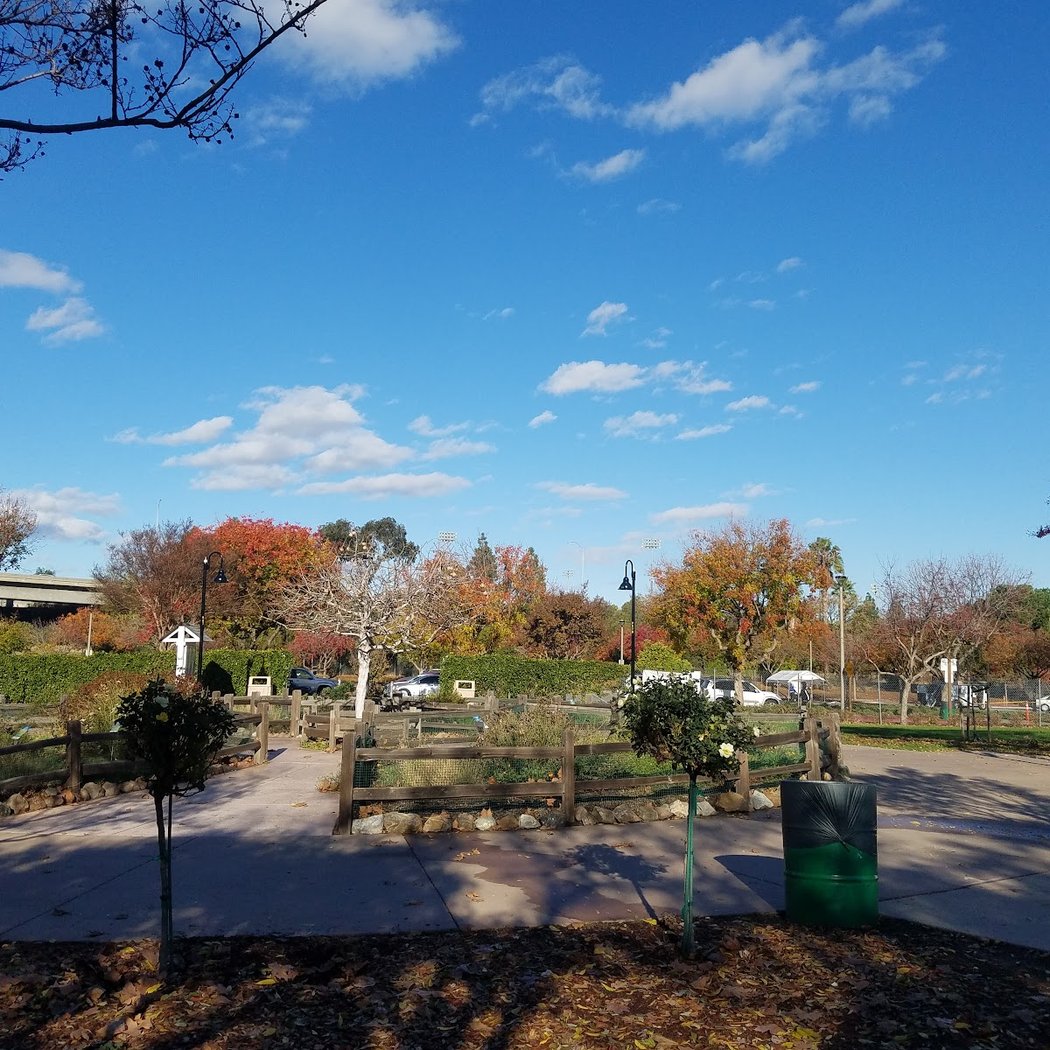Veggielution Community Farm 2