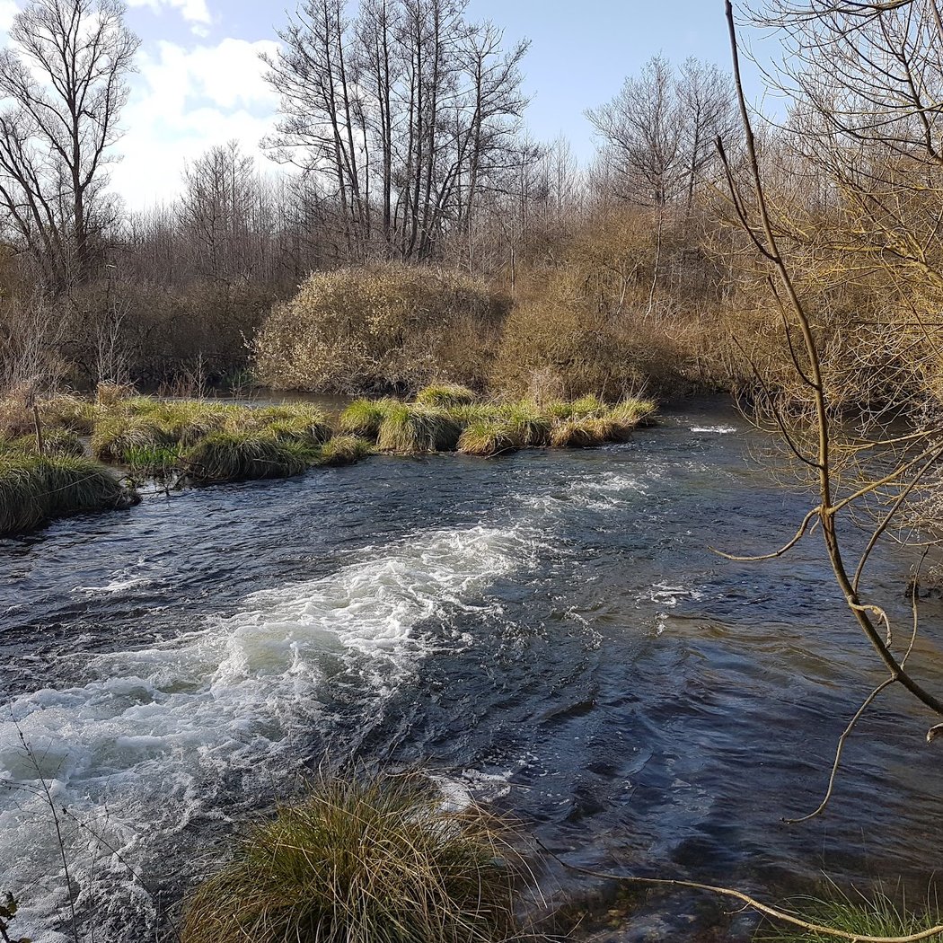 La Conie 3