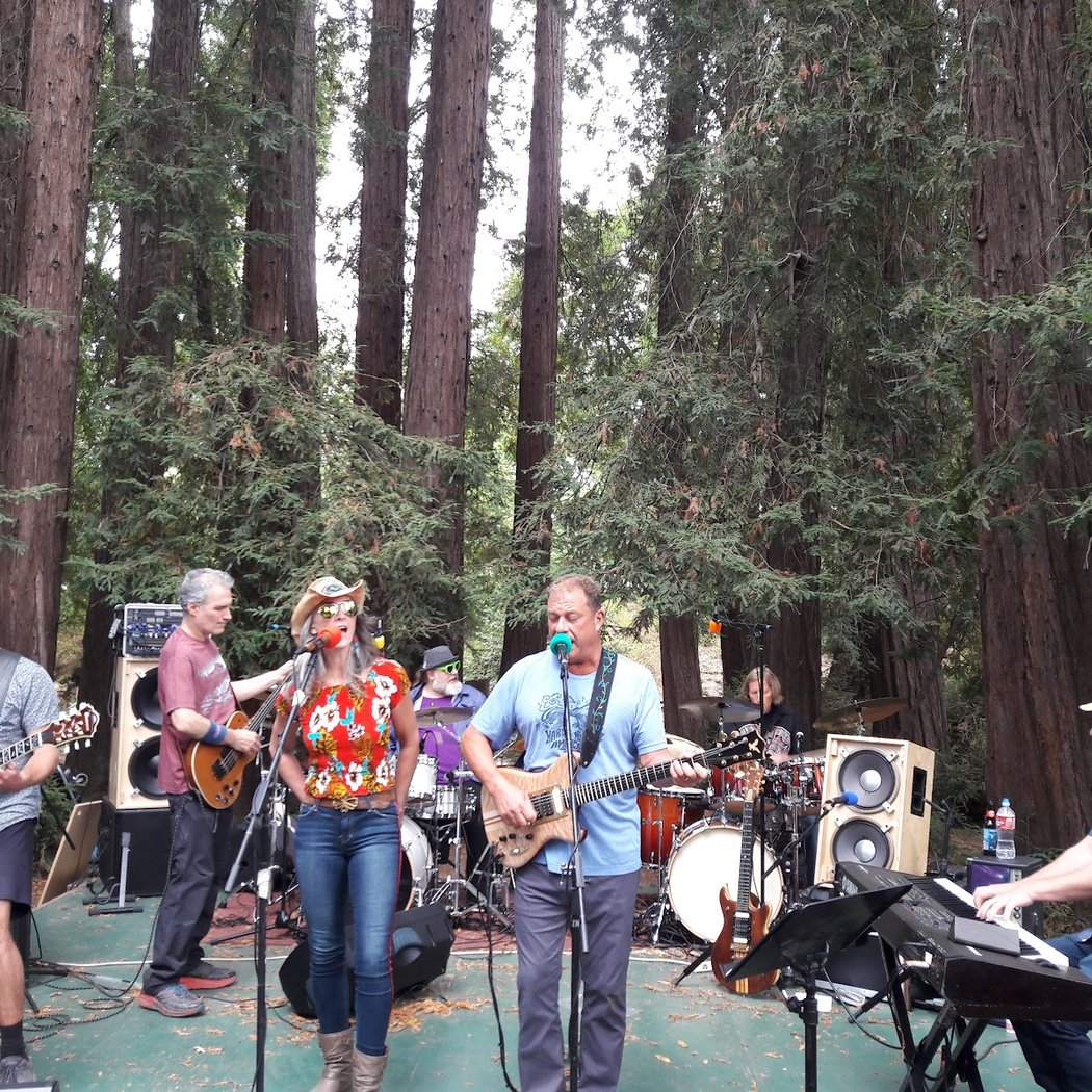 Summer Music Concert in the Park