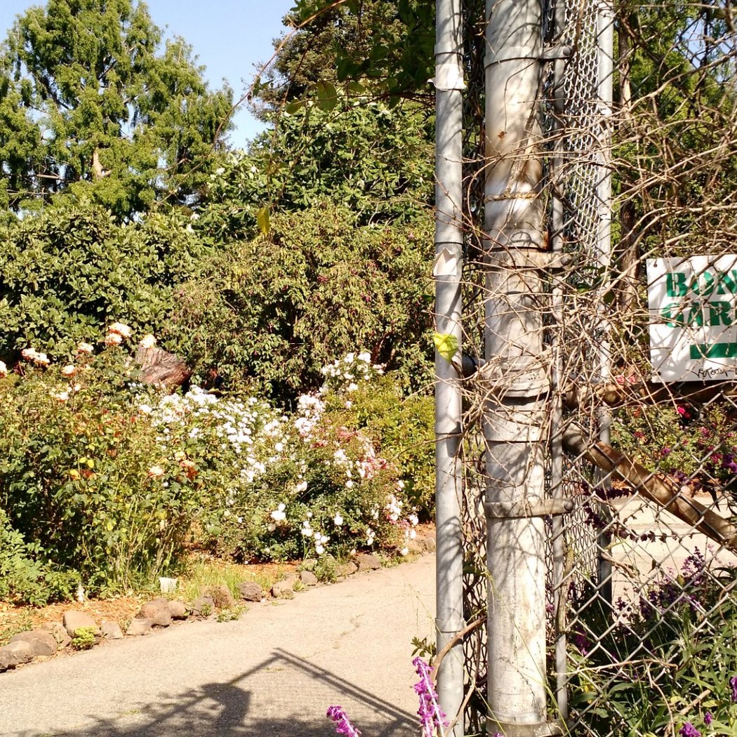 Lakeside Park Garden Center 3