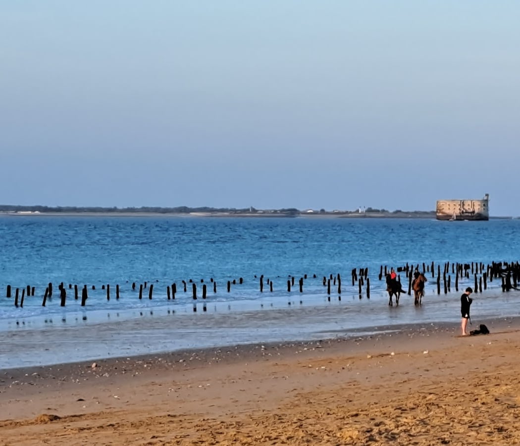 Plage des Saumonards 3