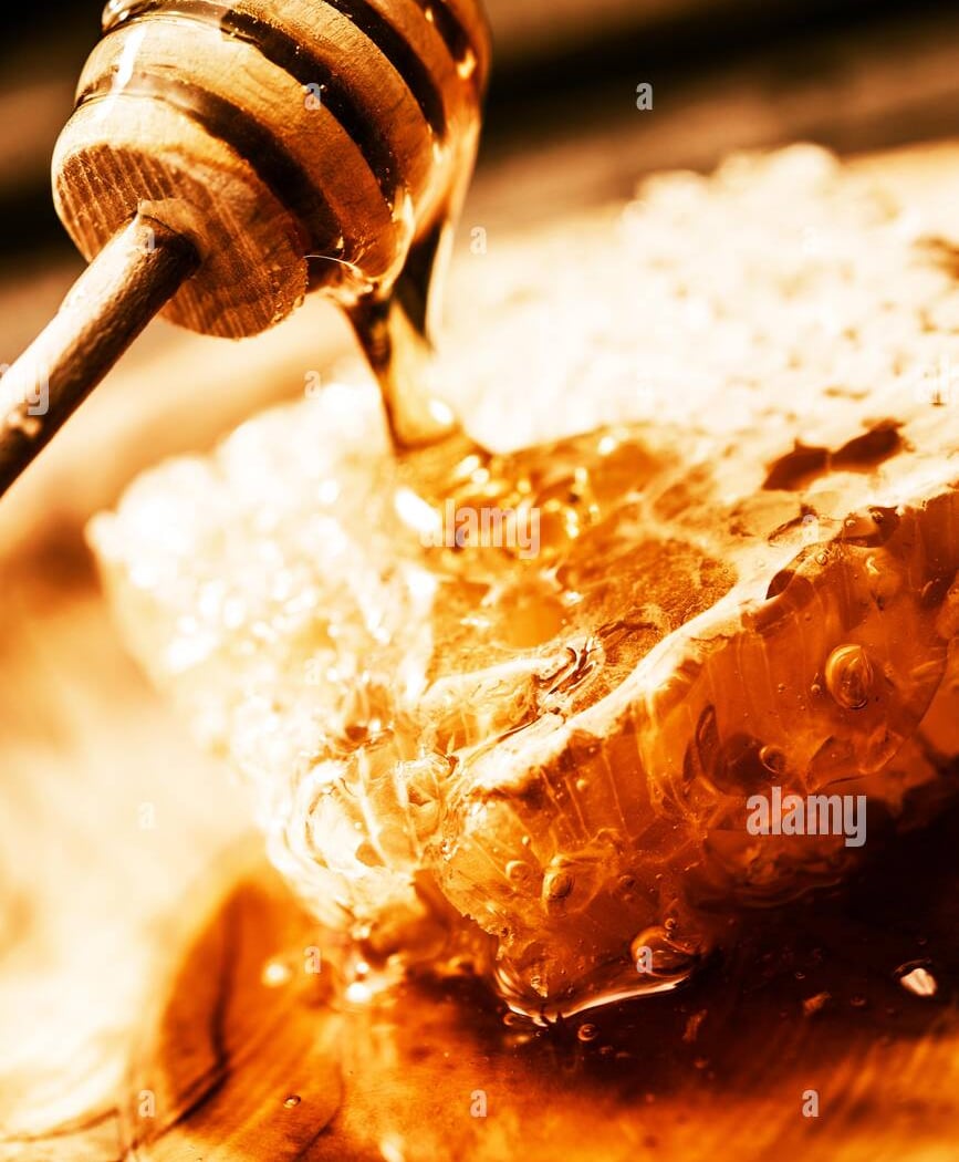 Honey and Hive 1