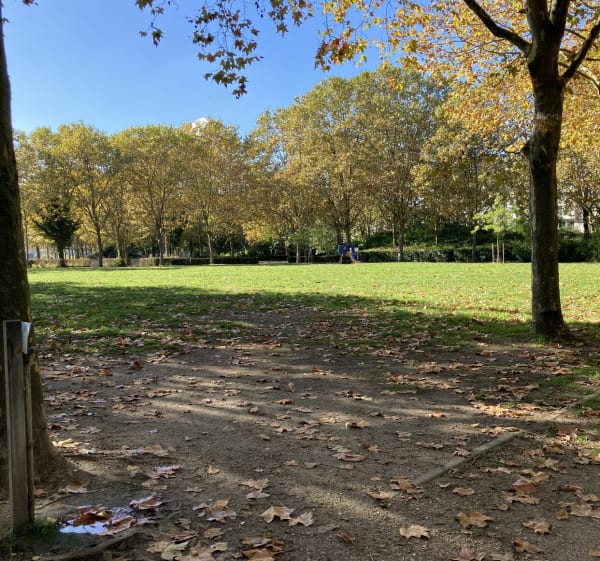 Parc Robinson 3