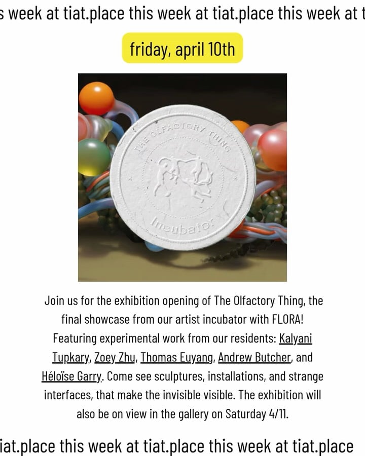 The Olfactory Thing exhibition opening 1
