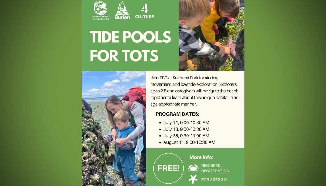 Tide Pools for Tots 2