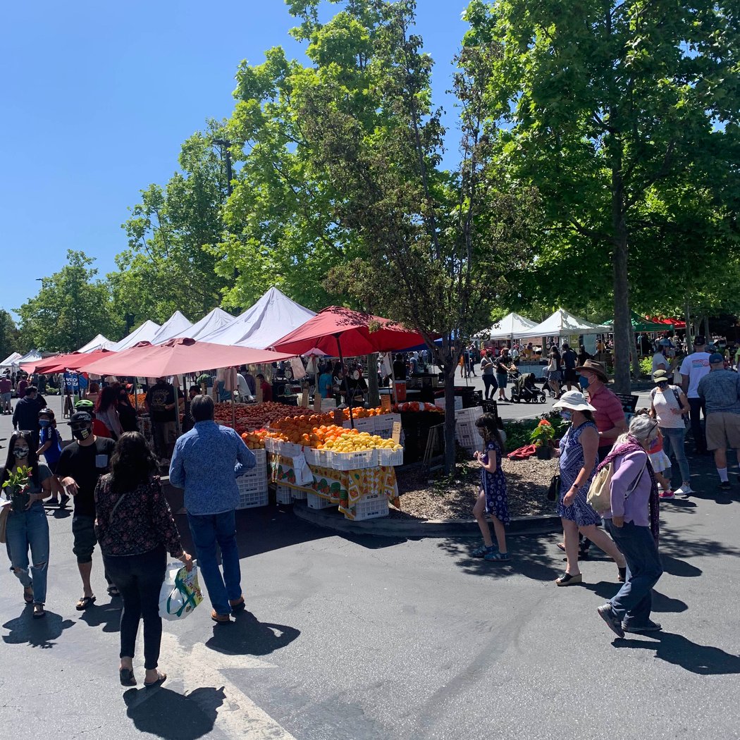Campbell Farmer's Market 2