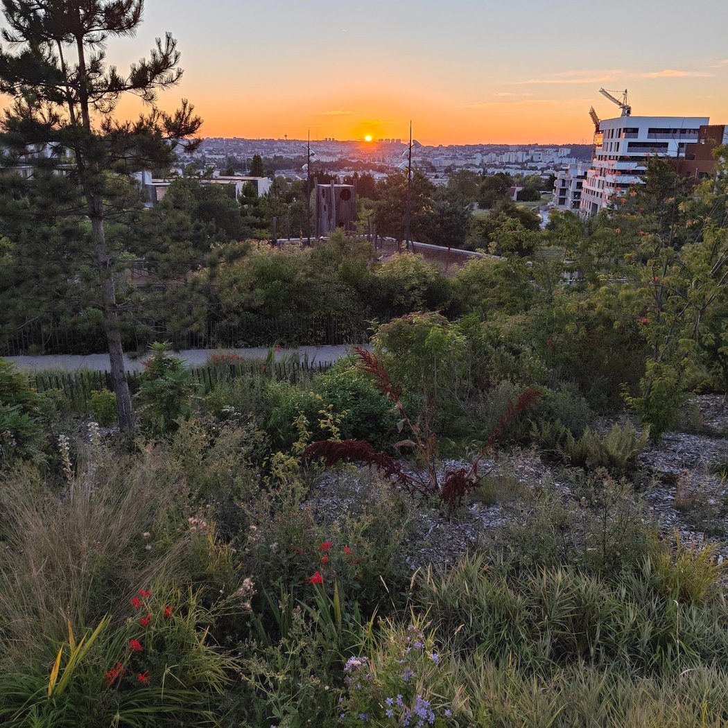 Parc Louis-Antoine de Bougainville 5