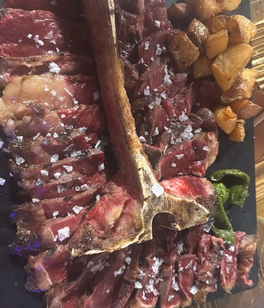 Plato Roto 1