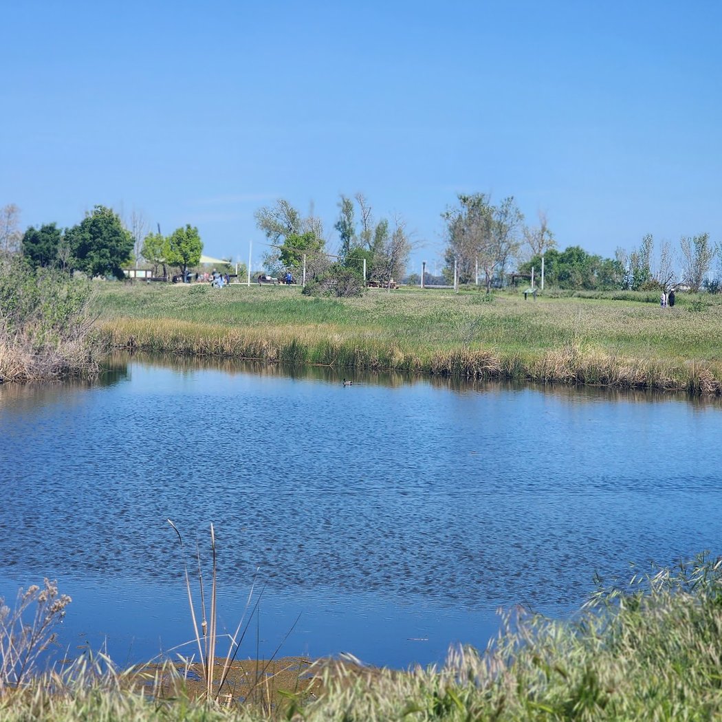 Wonders of the Wetland 2025 3