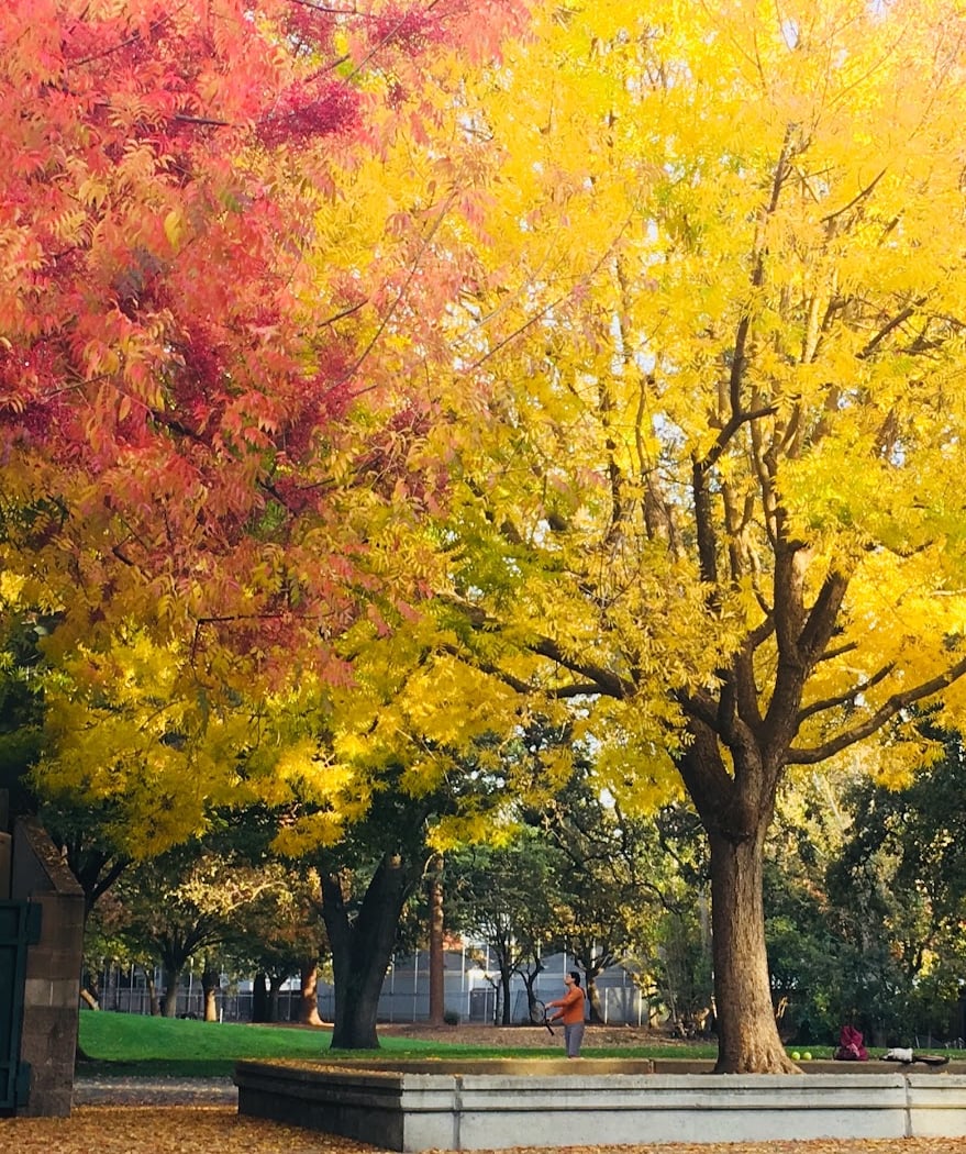 Walden Park 1