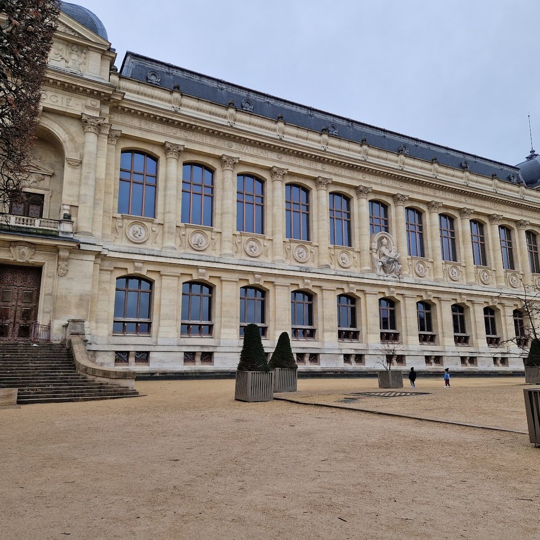 Félins 2