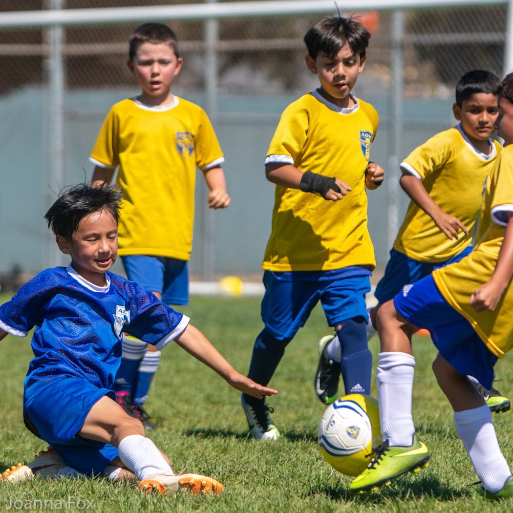 Albany Berkeley Soccer Club 3