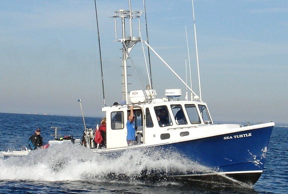 Sea Turtle Dive Charters 3