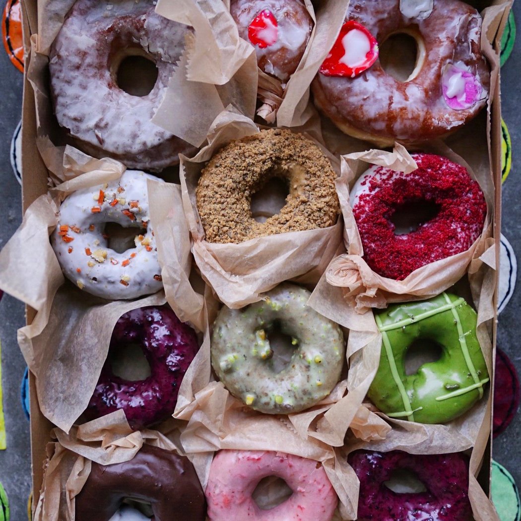 Doughnut Plant 1