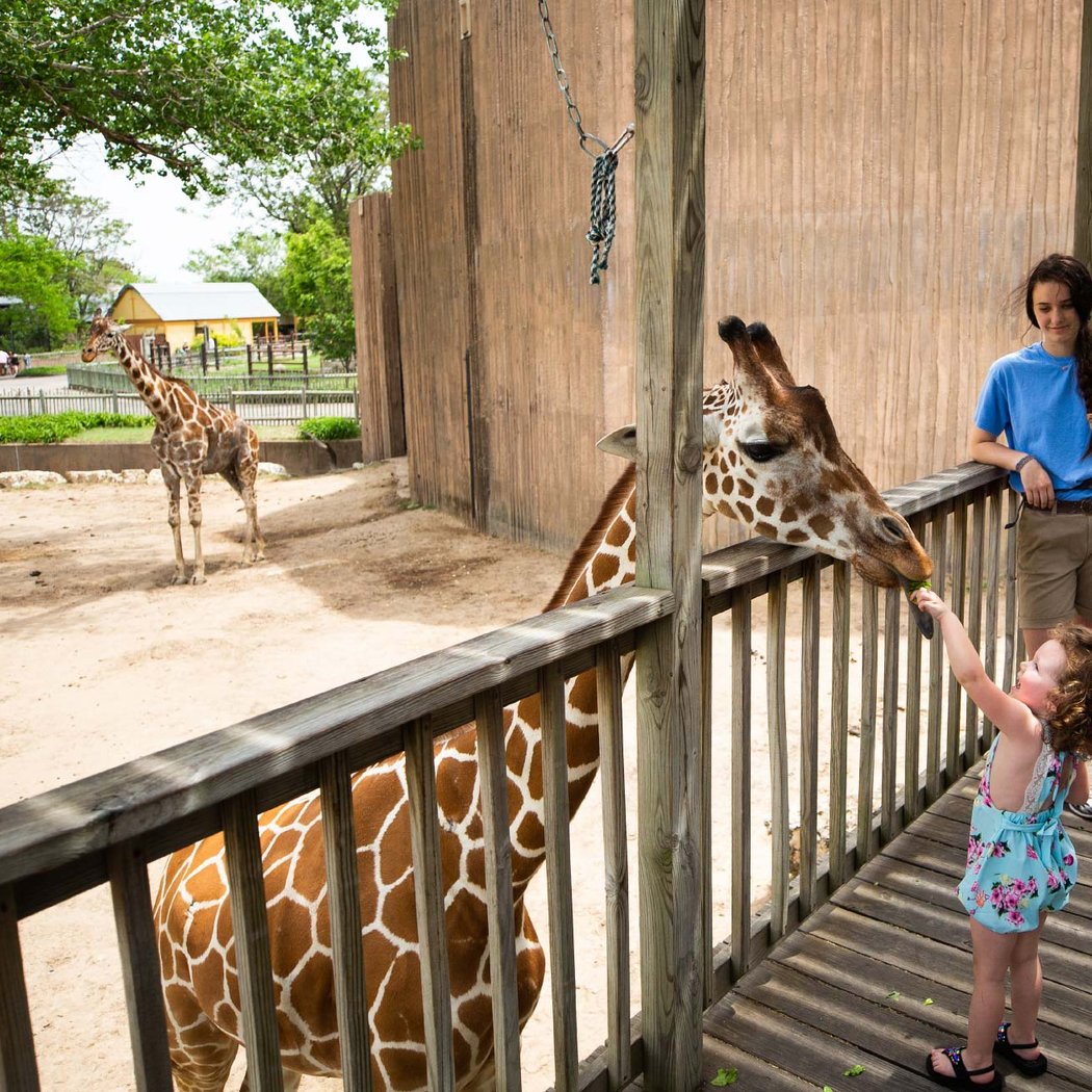 Sedgwick County Zoo 2