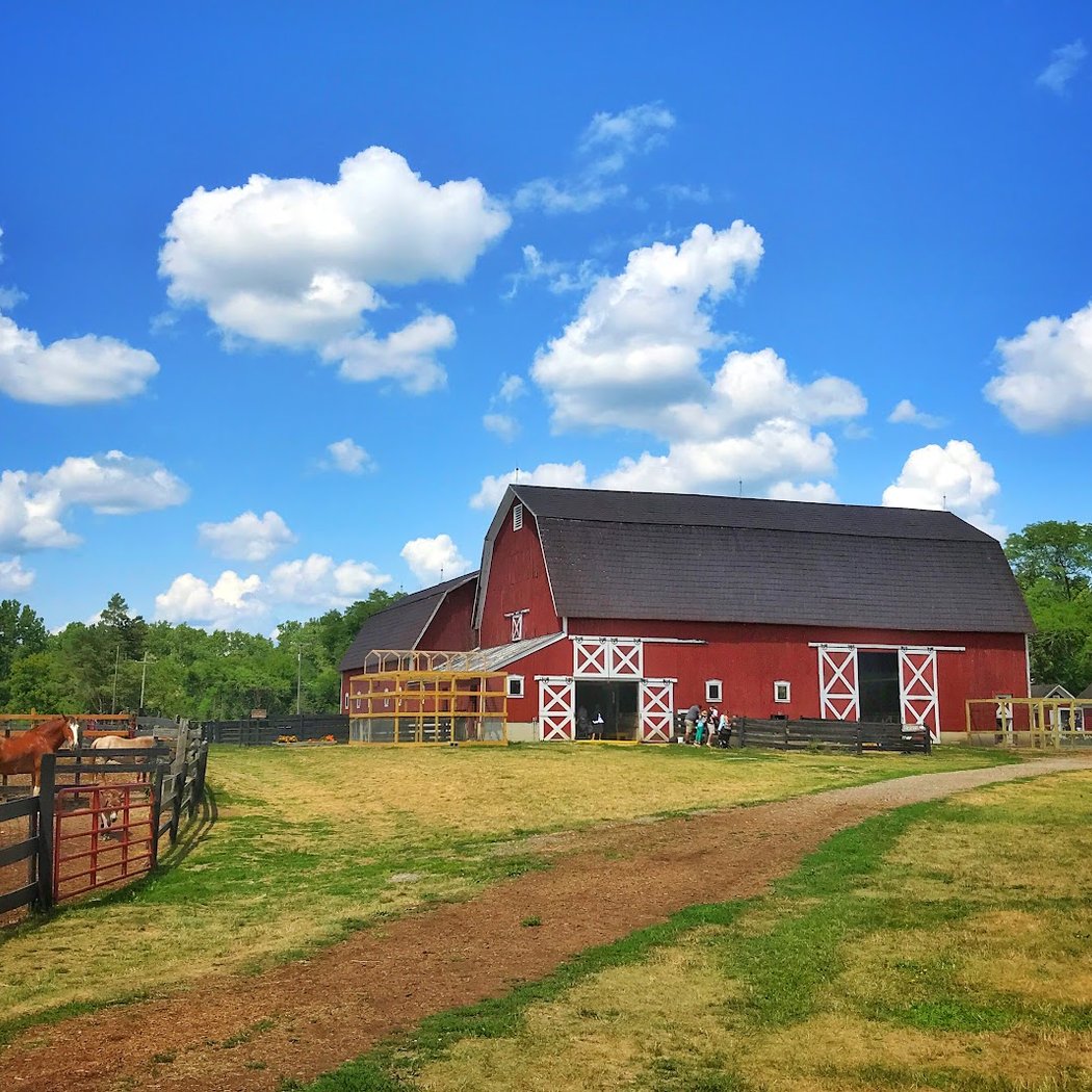 Holiday Fun & Santa Visits at the Farm 3