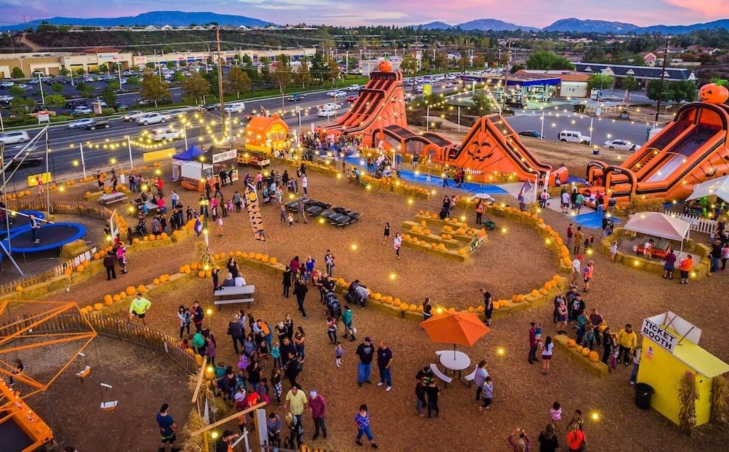 Pumpkin Patch 1