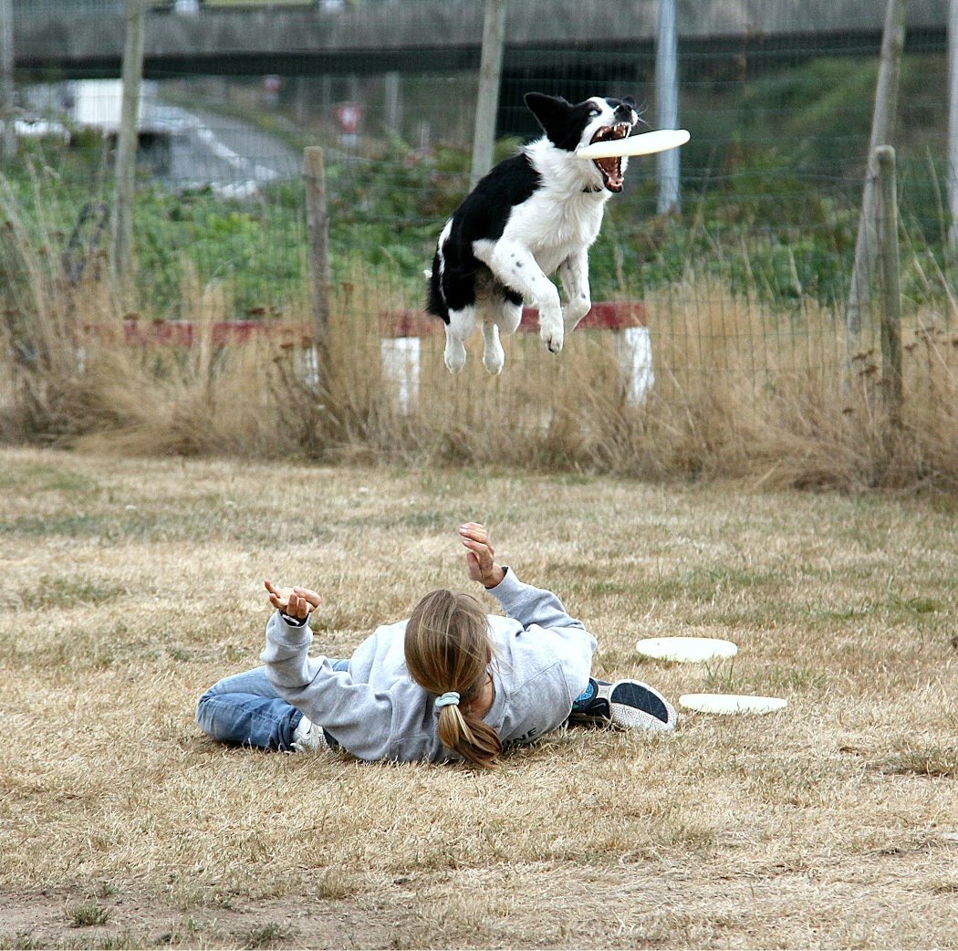 Educanine 1
