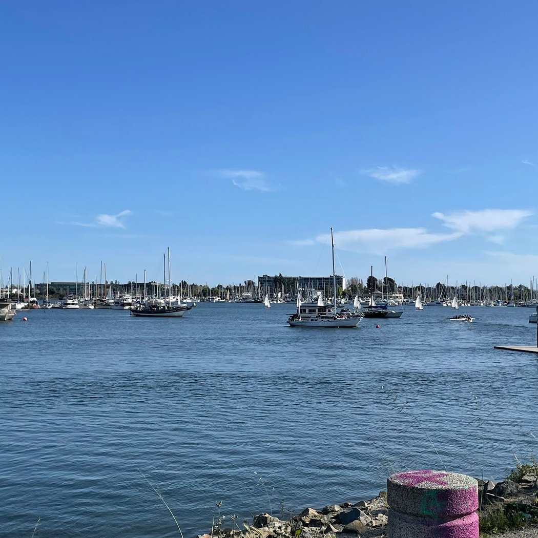 Boats Without Barriers Regatta 3
