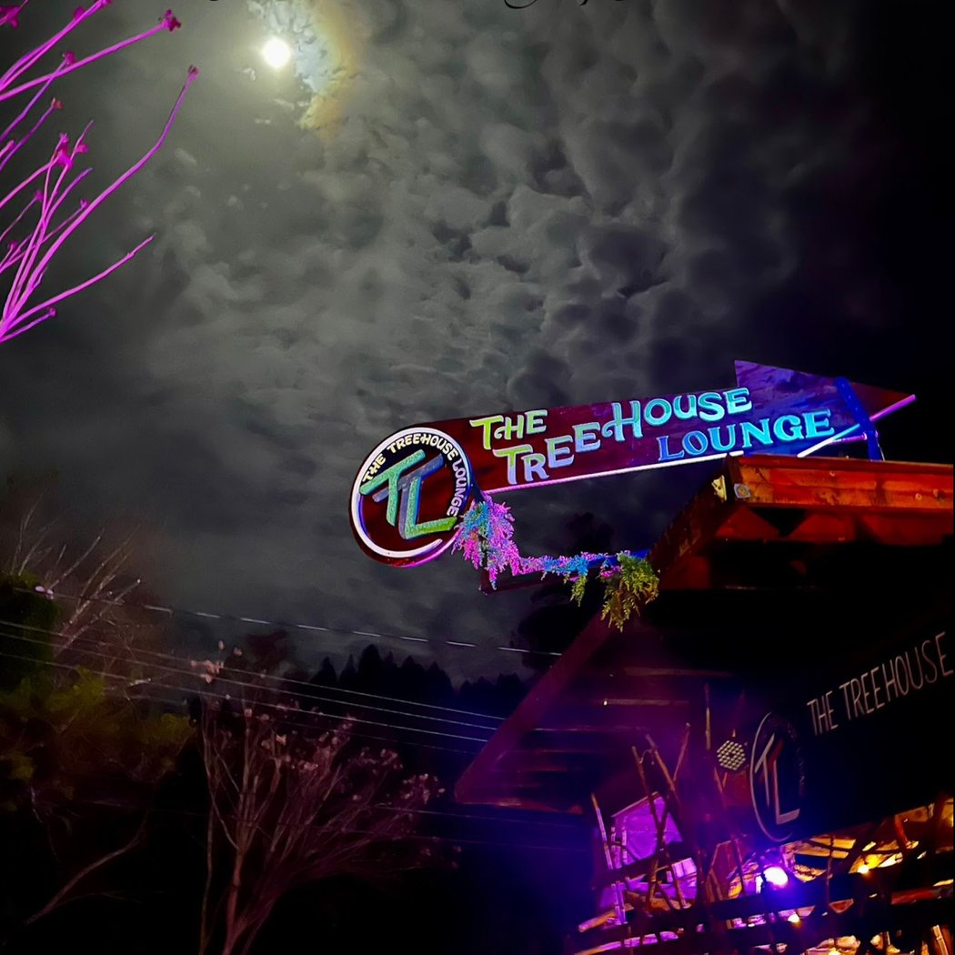 The Treehouse Lounge 3