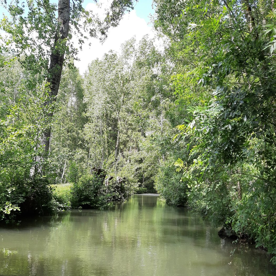 Sentier randonnée et vélo Marais Poitevin La Garette Le Vanneau Coulon 3